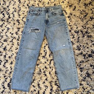 Zara The Pepper Mom Jean